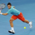 verdasco-backhand-w