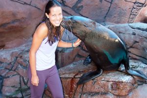 Groucho the Australian fur seal gets to know Ana Ivanovic at Underwater World on the Sunshine Coast