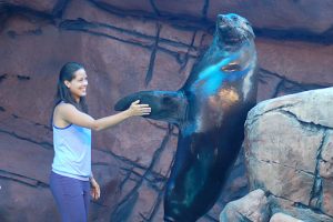 A high five from Groucho to Ana Ivanovic at Underwater World on the Sunshine Coast