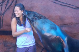 Groucho the Australian fur seal gets to know Ana Ivanovic at Underwater World on the Sunshine Coast.