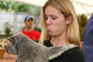 Andy Roddick and Brooklyn Decker spend some time at Brisbane's Lone Pine Koala Sanctuary.  Brisbane Tennis Centre, January 05, 2010.  Photo: Warren Keir (SMP Images).  Copyright - SMP Images 2010...For larger file size, please contact SMP Images photo desk...Conditions of Use - this image is intended for editorial use only (print or electronic). Any further use requires additional clearance.