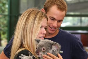 Andy Roddick and Brooklyn Decker spend some time at Brisbane's Lone Pine Koala Sanctuary.  Brisbane Tennis Centre, January 05, 2010.  Photo: Warren Keir (SMP Images).  Copyright - SMP Images 2010...For larger file size, please contact SMP Images photo desk...Conditions of Use - this image is intended for editorial use only (print or electronic). Any further use requires additional clearance.