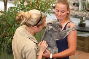 Jelena Dokic at Lone Pine Koala Sanctuary