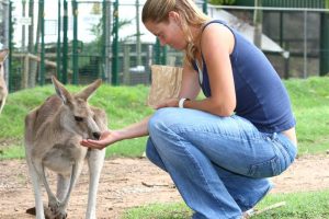 Jelena Dokic at Lone Pine Koala Sanctuary