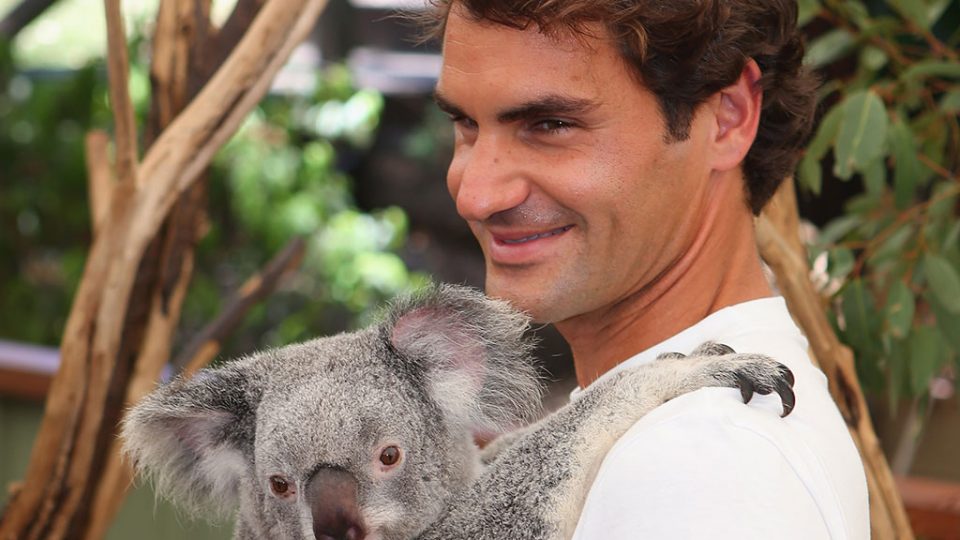 Roger Federer, Lone Pine Koala Sanctuary, Brisbane, 2013. GETTY IMAGES