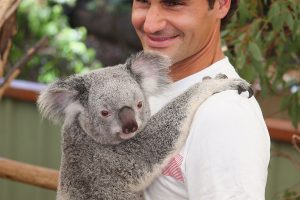 Roger Federer at Lone Pine Koala Sanctuary, Brisbane, 2014. GETTY IMAGES