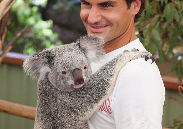 Roger Federer at Lone Pine Koala Sanctuary, Brisbane, 2014. GETTY IMAGES
