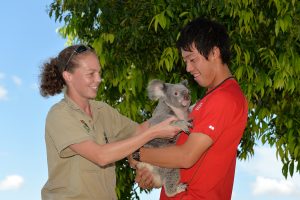 BRISBANE, AUSTRALIA - JANUARY 06: Kei Nishikori of Japan meets a Koala named Tinkerbell during day three of the 2015 Brisbane International at Pat Rafter Arena on January 6, 2015 in Brisbane, Australia.  (Photo by Bradley Kanaris/Getty Images)