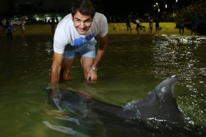 BRISBANE, AUSTRALIA - JANUARY 06:  Roger Federer enjoys time off Brisbane International 2015 feeding wild dolphins on Tangalooma Island Resort on January 6, 2015 in Brisbane, Queensland, Australia.  (Photo by Chris Hyde/Getty Images for Tourism Queensland)