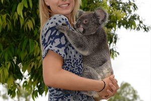 BRISBANE, AUSTRALIA - JANUARY 07:  Maria Sharapova of Russia holds a Koala named Sinnamon during day four of the 2015 Brisbane International at Pat Rafter Arena on January 7, 2015 in Brisbane, Australia.  (Photo by Bradley Kanaris/Getty Images)