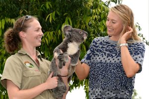 BRISBANE, AUSTRALIA - JANUARY 07:  Maria Sharapova of Russia meets a Koala named Sinnamon during day four of the 2015 Brisbane International at Pat Rafter Arena on January 7, 2015 in Brisbane, Australia.  (Photo by Bradley Kanaris/Getty Images)