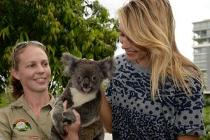 BRISBANE, AUSTRALIA - JANUARY 07: Maria Sharapova of Russia meets a Koala named Sinnamon during day four of the 2015 Brisbane International at Pat Rafter Arena on January 7, 2015 in Brisbane, Australia.  (Photo by Bradley Kanaris/Getty Images)