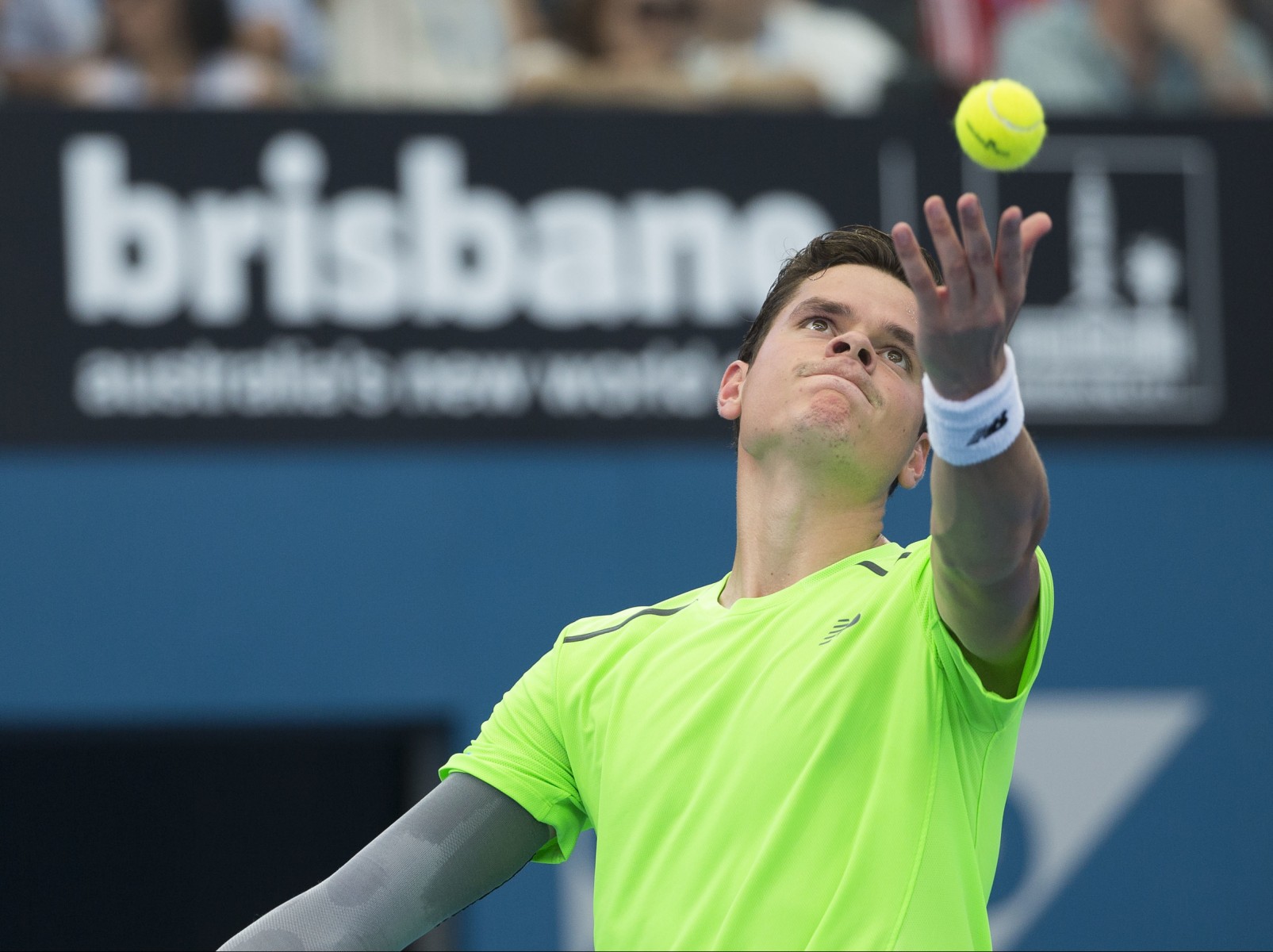 Raonic rides serve into final - Brisbane International Tennis1605 x 1200