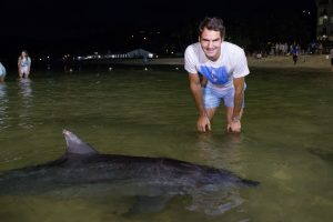 Roger Federer (SUI) with Dolphins at Tangalooma

Tennis - Brisbane International 2015 - ATP 250 - WTA -  Queensland Tennis Centre - Brisbane - Queensland - Australia  - 6 January 2015. 
© Tennis Photo Network